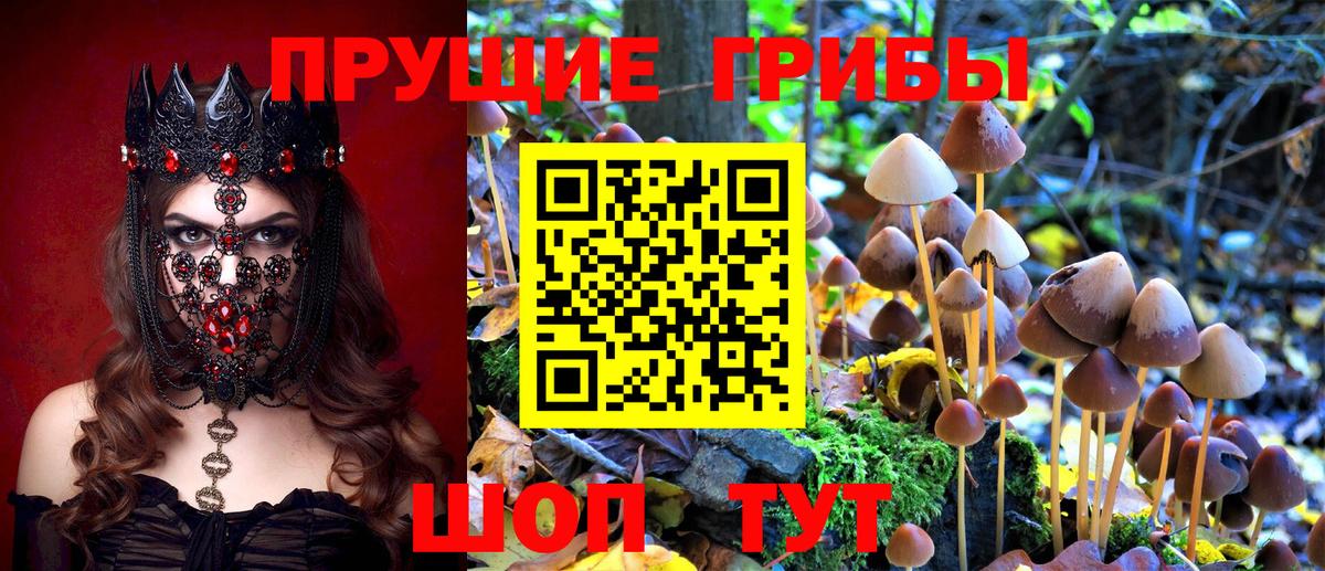 Галлюциногенные грибы Magic Shrooms Новочебоксарск