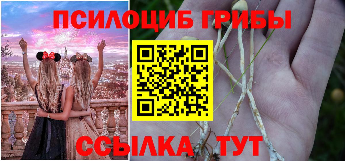Новочебоксарск  Галлюциногенные грибы Psilocybine cubensis  Вход с VPN 
